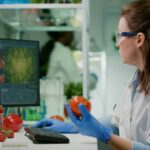 How Digital Supplier Portals Are Streamlining Food Industry Operations
