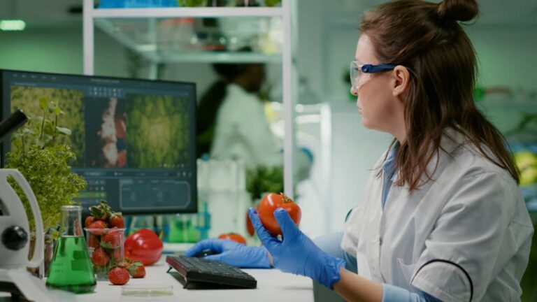 How Digital Supplier Portals Are Streamlining Food Industry Operations