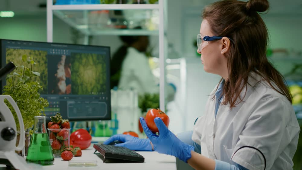 How Digital Supplier Portals Are Streamlining Food Industry Operations