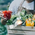 How Retailers Are Improving Supplier Compliance Across Large Food Networks