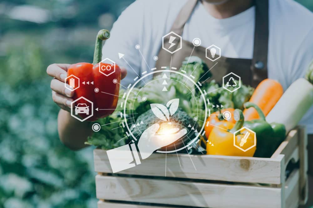 How Retailers Are Improving Supplier Compliance Across Large Food Networks